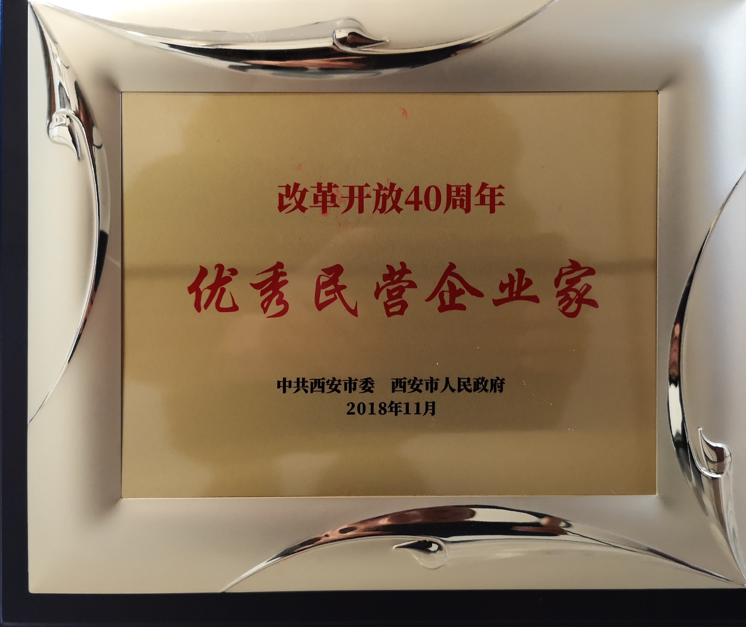 西安-優(yōu)秀民營企業(yè)家.jpg