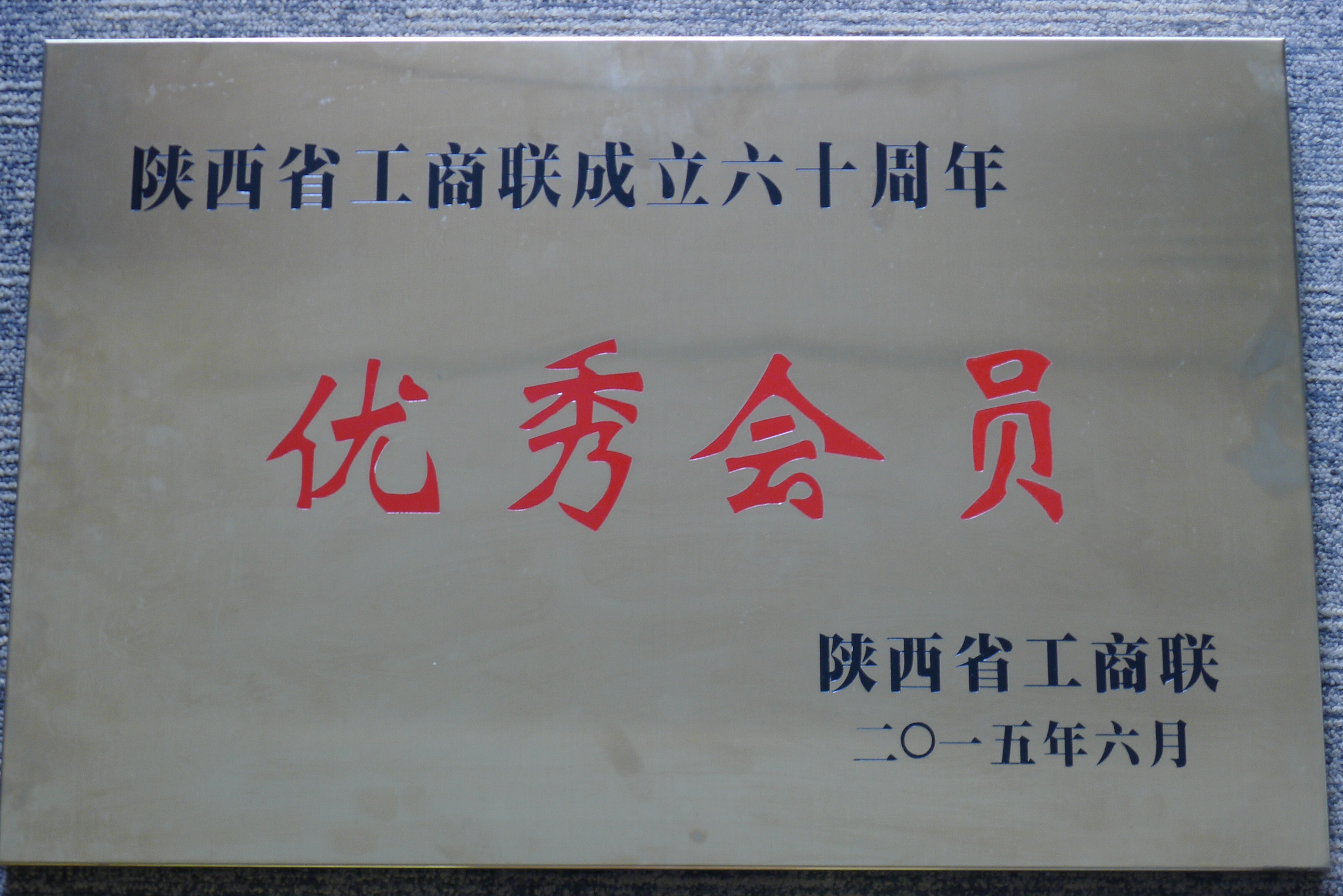 集團(tuán)被陜西省工商聯(lián)評(píng)為“優(yōu)秀會(huì)員”.JPG